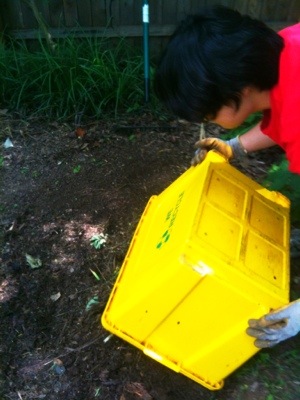 20120615-204339.jpg