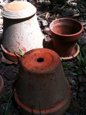 20120615-205914.jpg