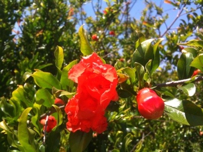 20120617-215333.jpg